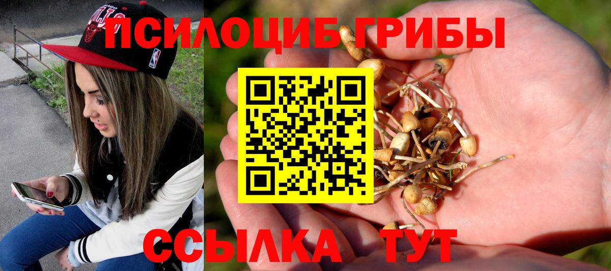 Лесозаводск  Галлюциногенные грибы Magic Shrooms  Вход с VPN 