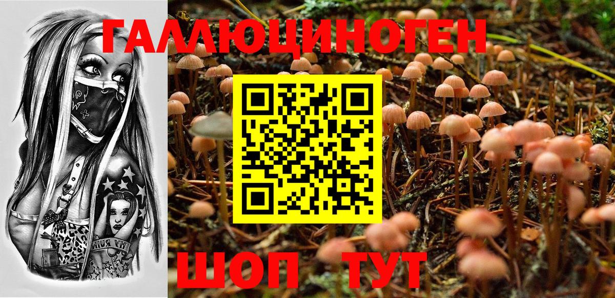Галлюциногенные грибы MAGIC MUSHROOMS Лесозаводск