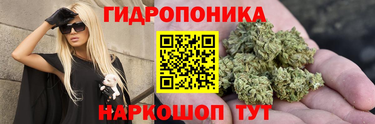Alpha PVP Лесозаводск
